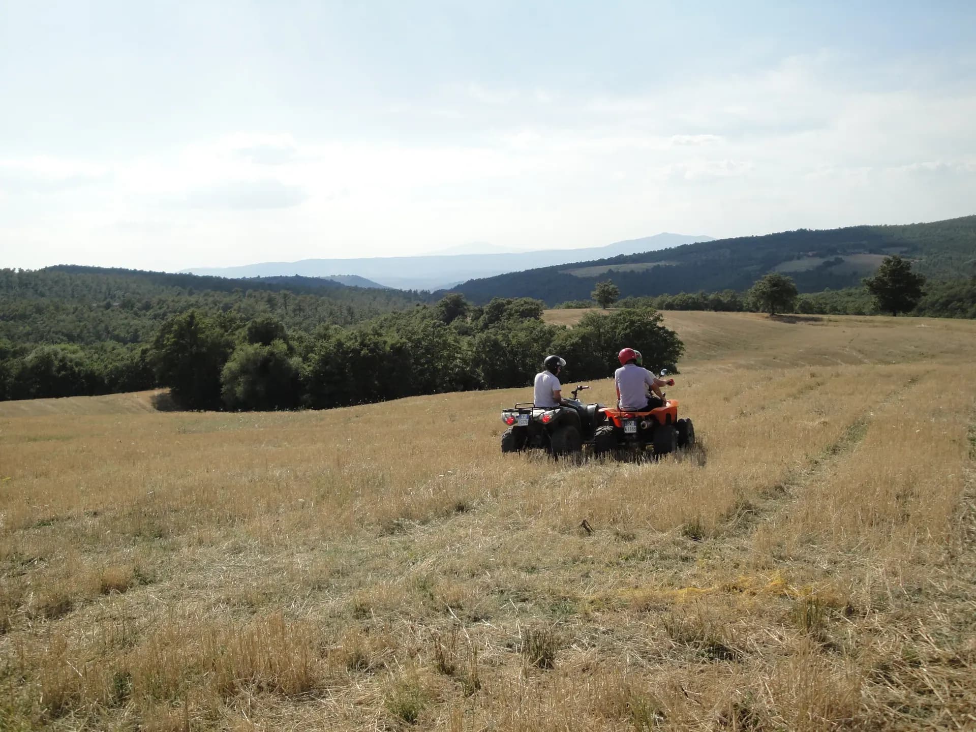 Tenuta — vista 21