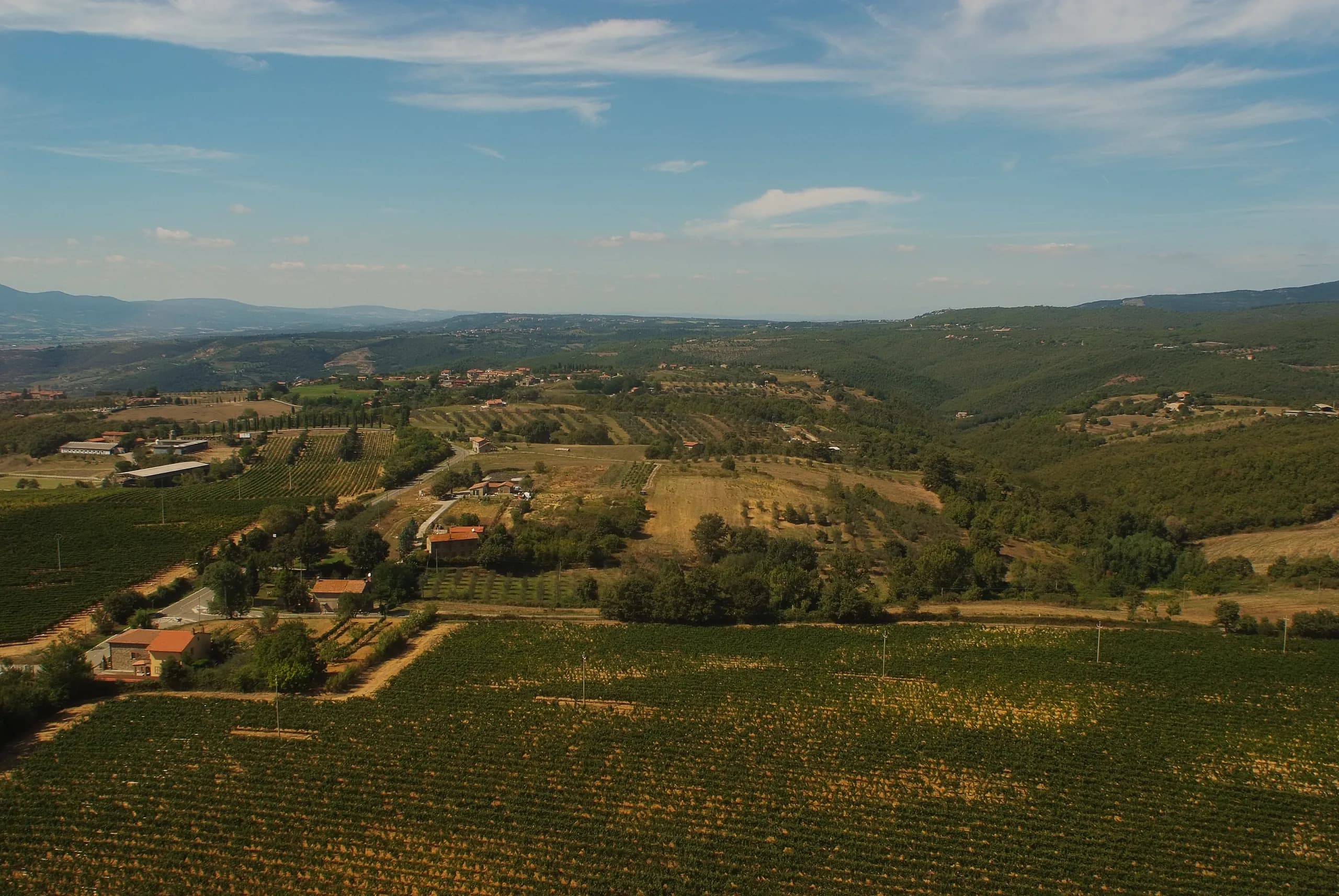 Tenuta — vista 24