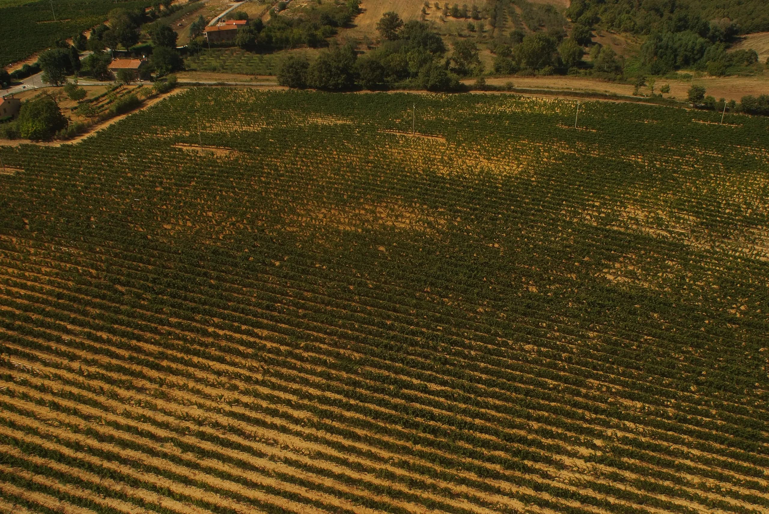 Tenuta — vista 25