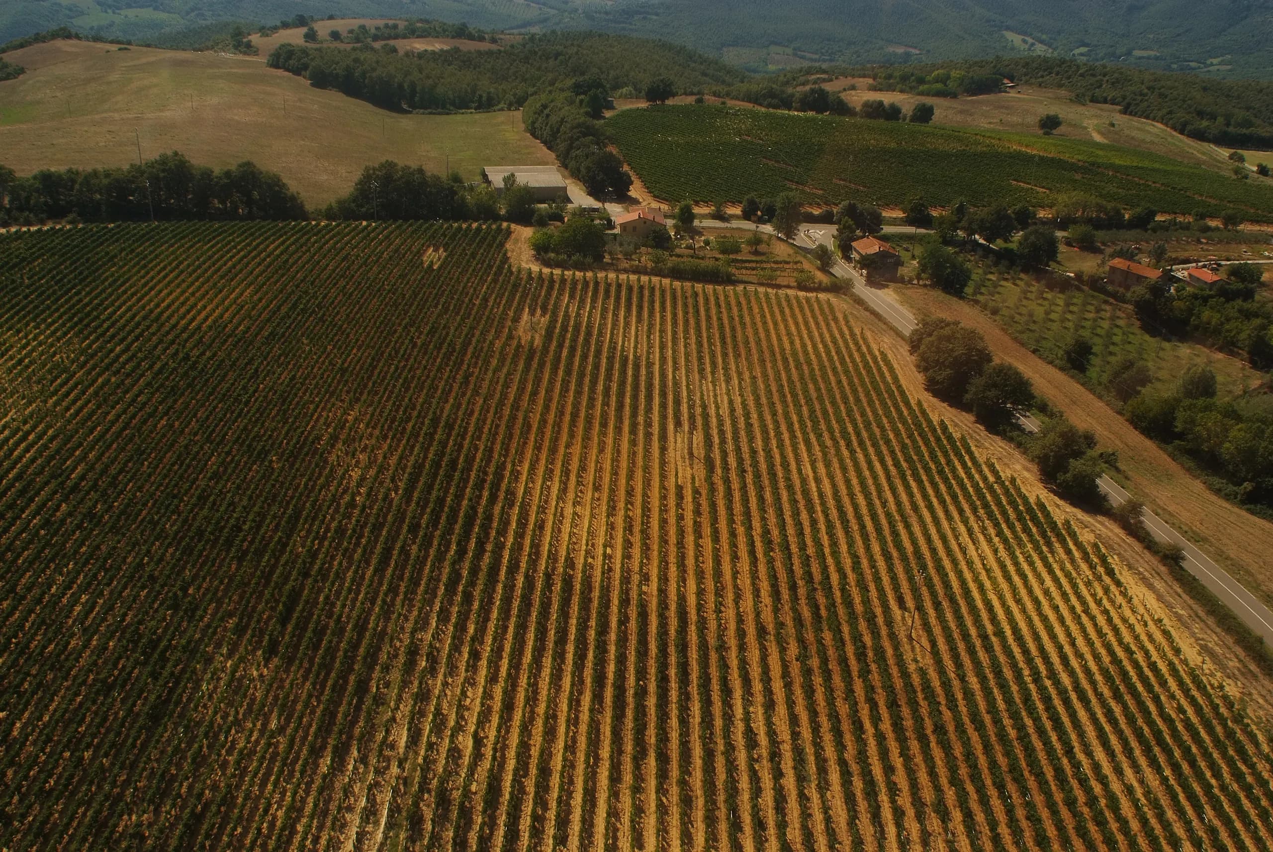 Tenuta — vista 26