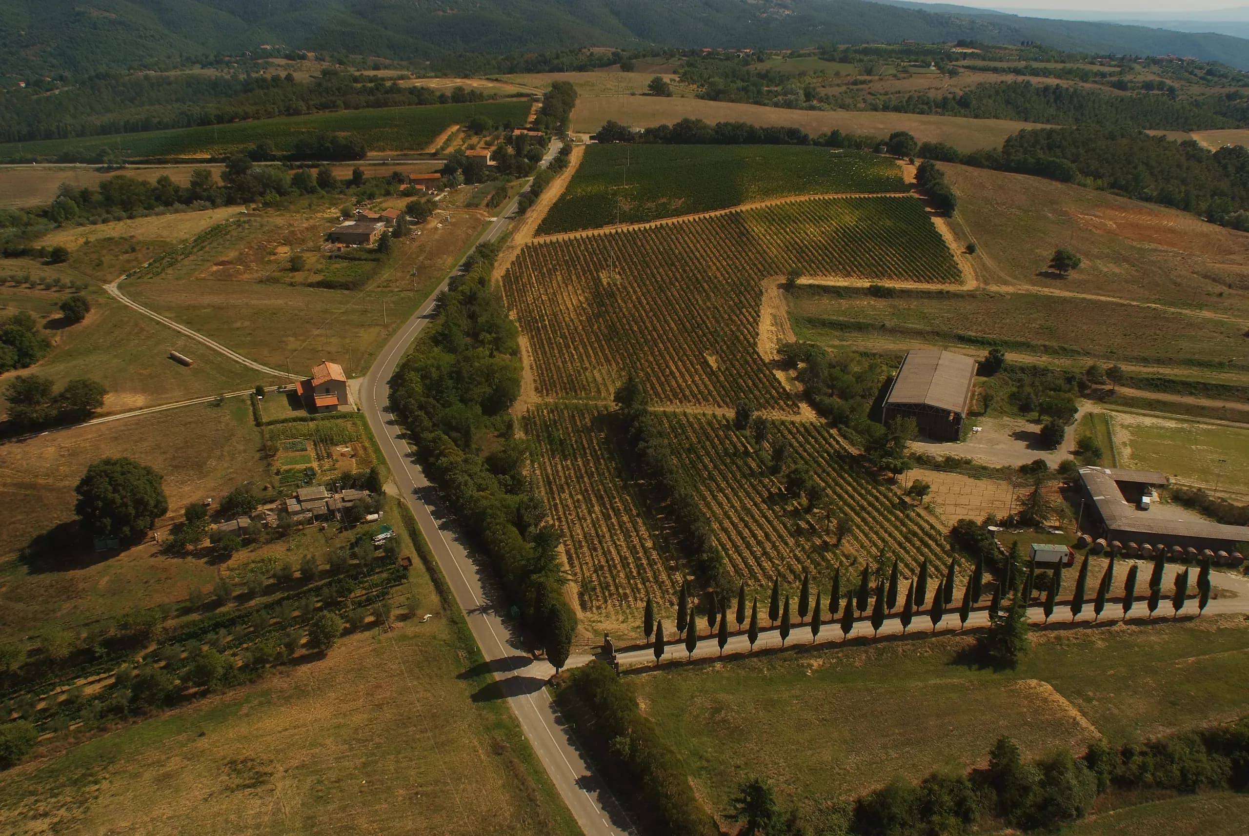 Tenuta — vista 30