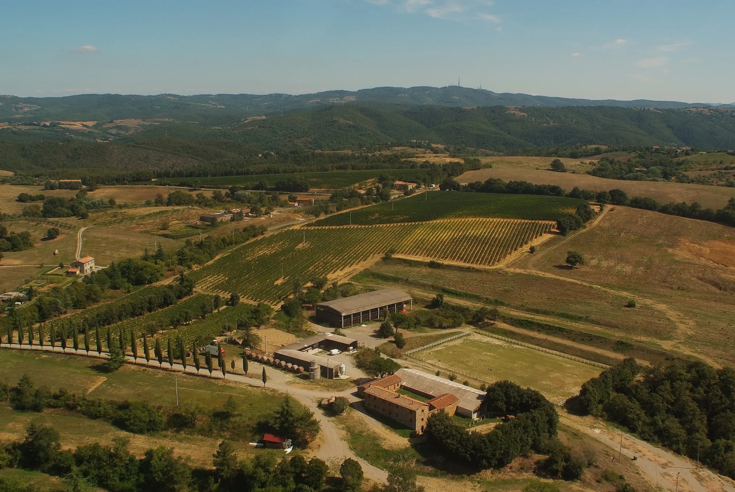 Tenuta — vista 31