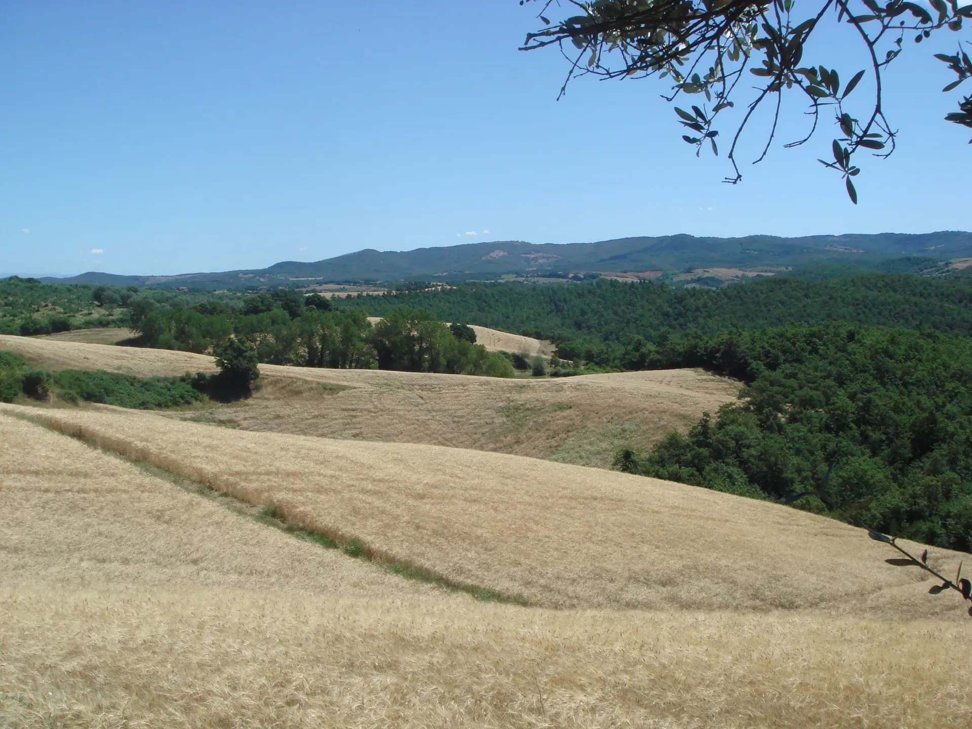 Tenuta — vista 38