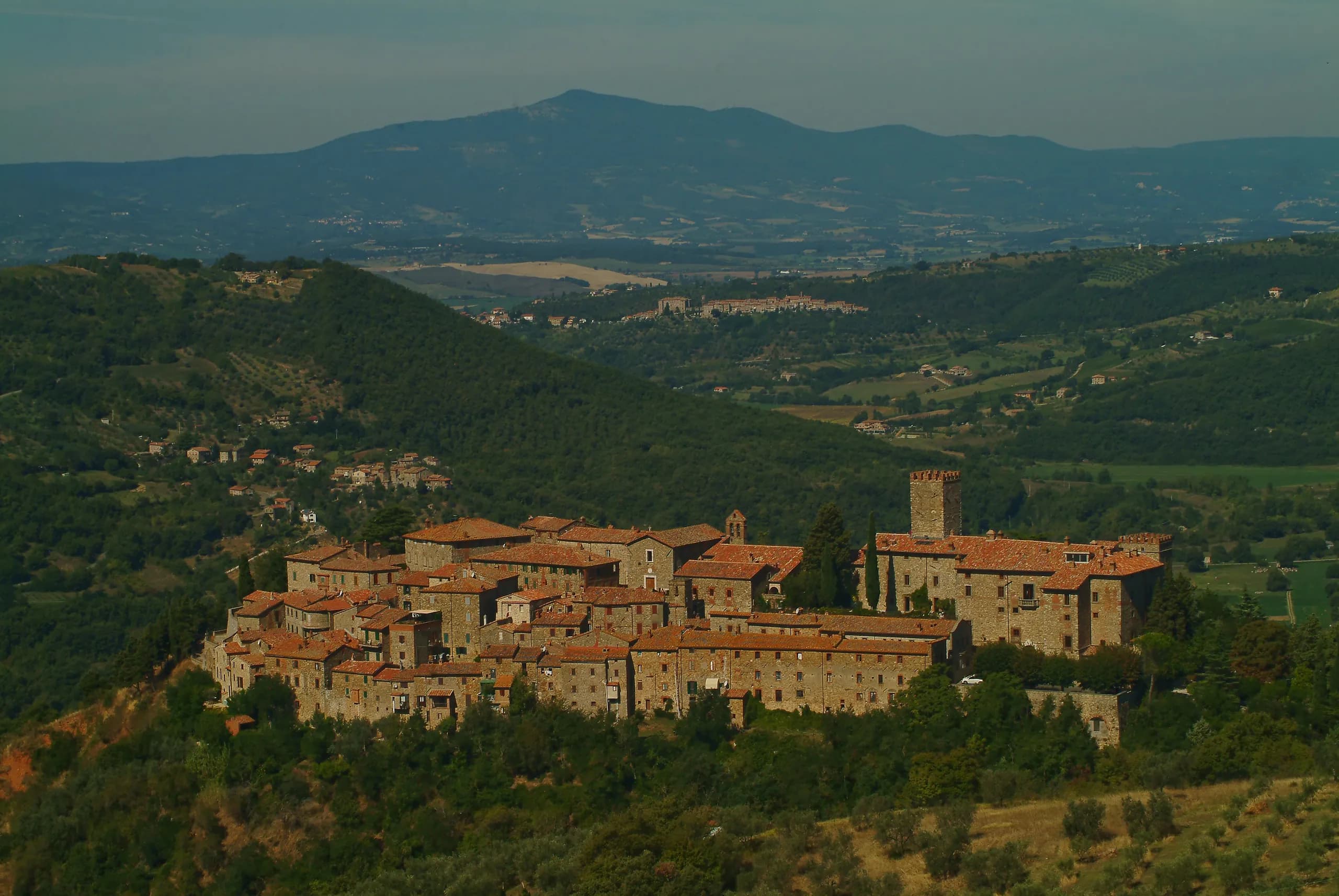 Estate from above