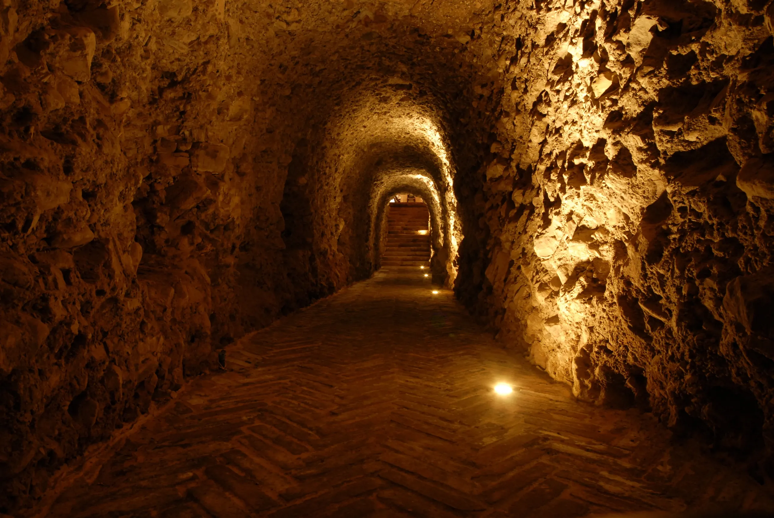 The millenary cellar