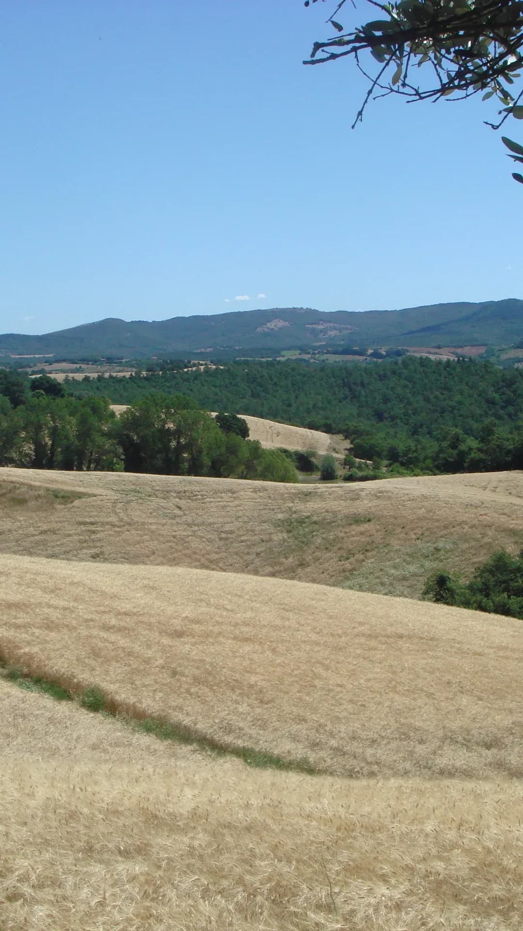 The Principato di Parrano estate in the heart of Umbria