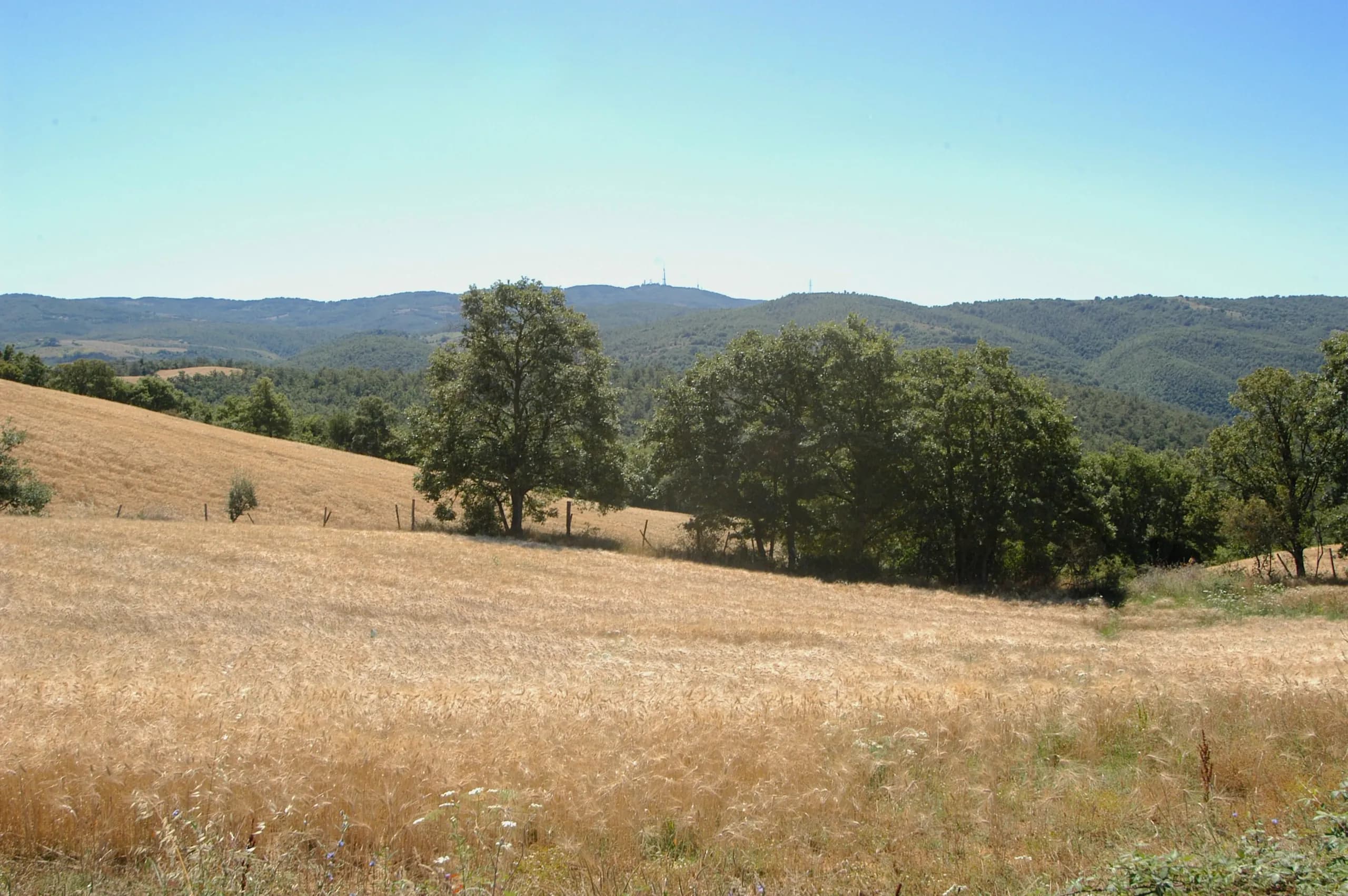 Organic arable land at the Principato di Parrano estate