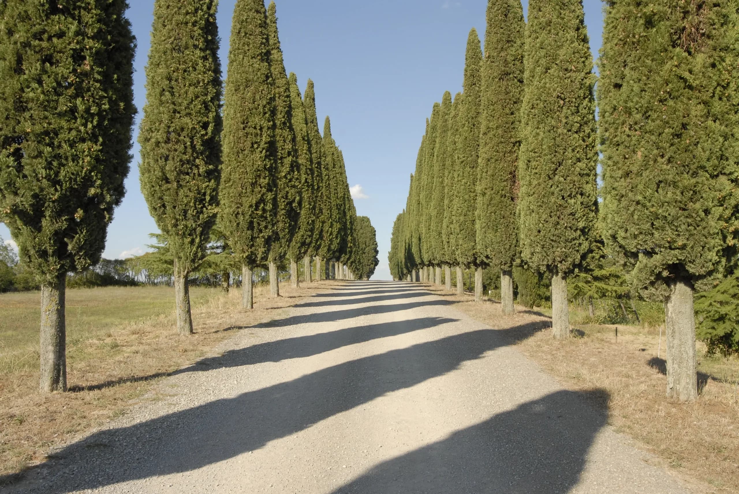 Il Casale dei Sassi — Centro Ippico del Principato di Parrano