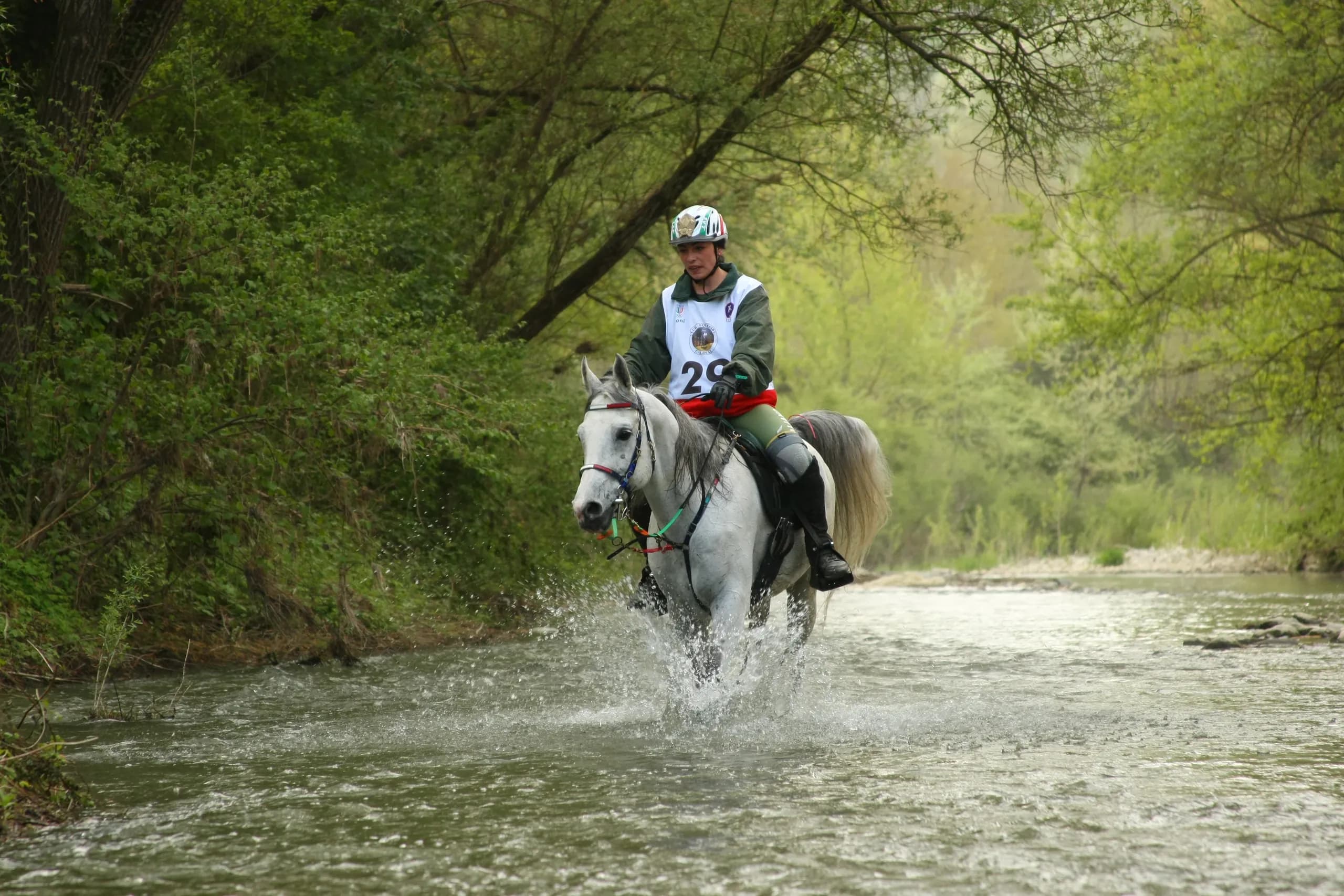 Evento endurance al Principato di Parrano