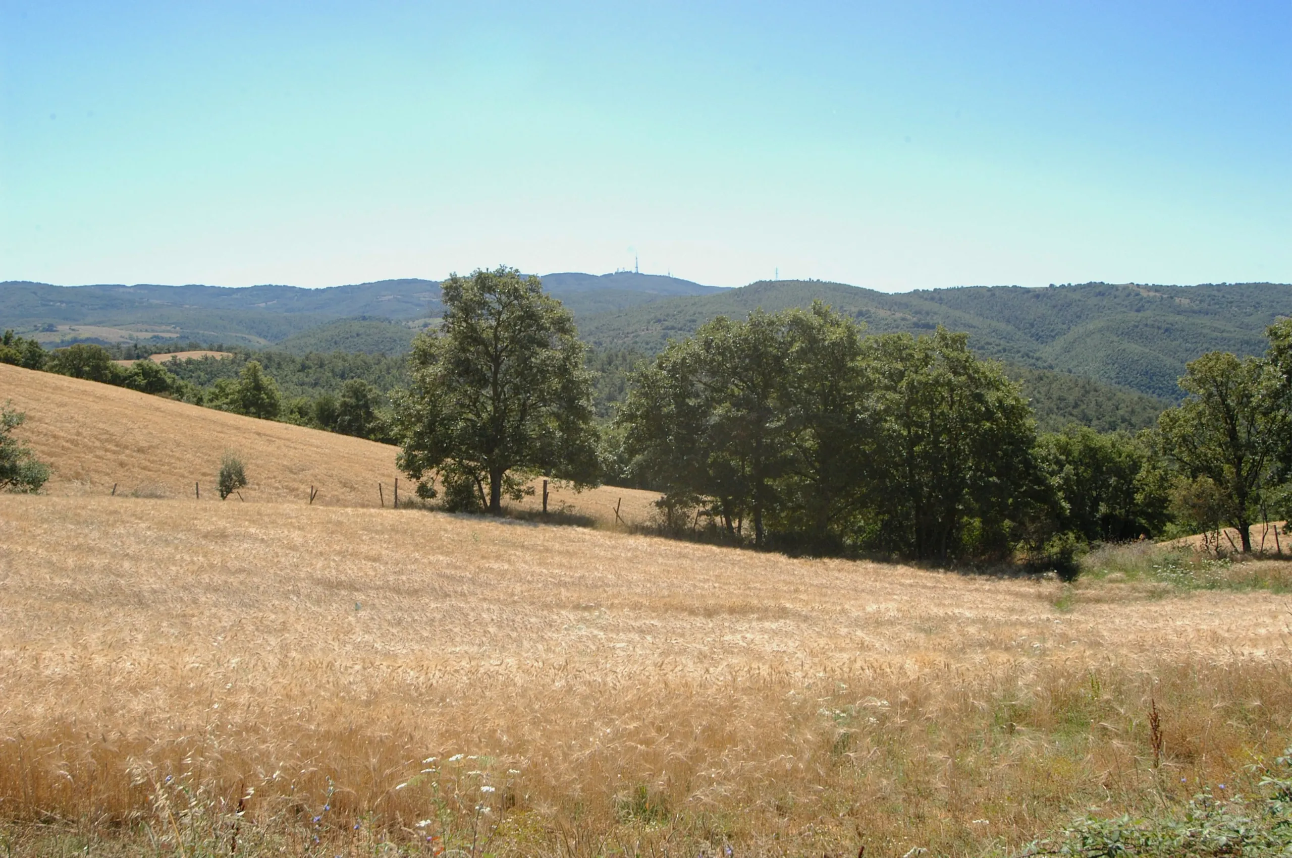 Seminativi biologici della tenuta del Principato di Parrano